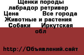 Щенки породы лабрадор ретривер › Цена ­ 8 000 - Все города Животные и растения » Собаки   . Иркутская обл.